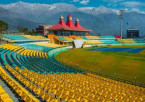 Manali to Dharamshala
